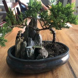 Meet your Posher, Dalila